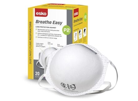 Carton of P2 Breathe Easy Respirator